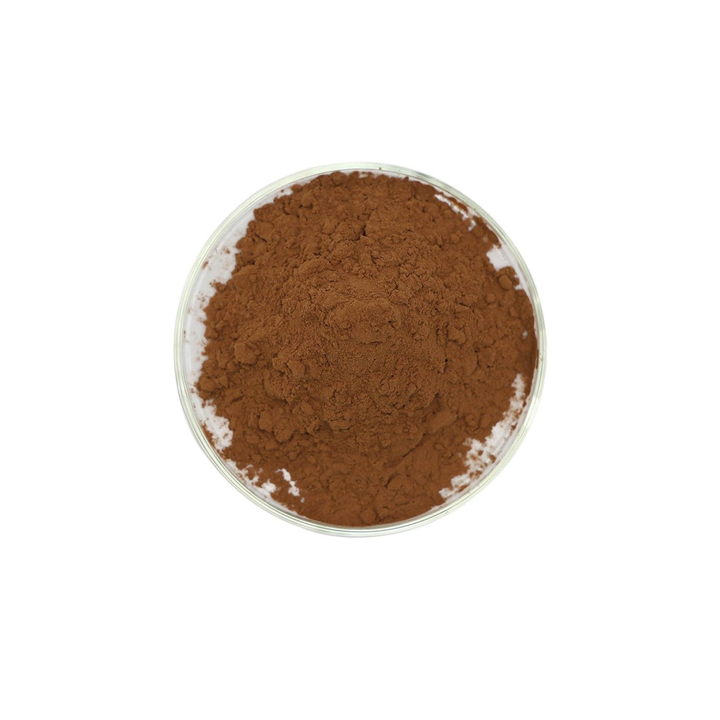 Bright sunlight Pea Sprout Extract 10:1 Powder 17.64 Ounce