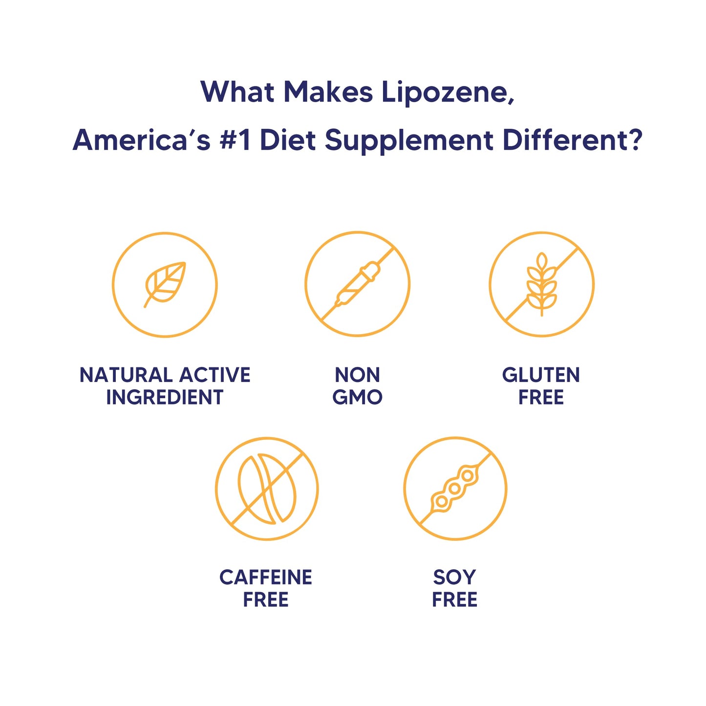 Lipozene Capsule 240 Capsules