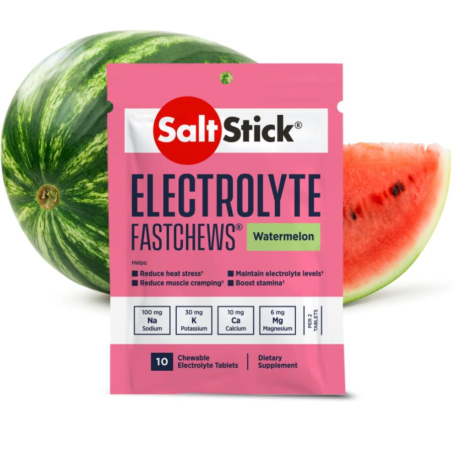 SaltStick Fastchews Tablet 4-Pack