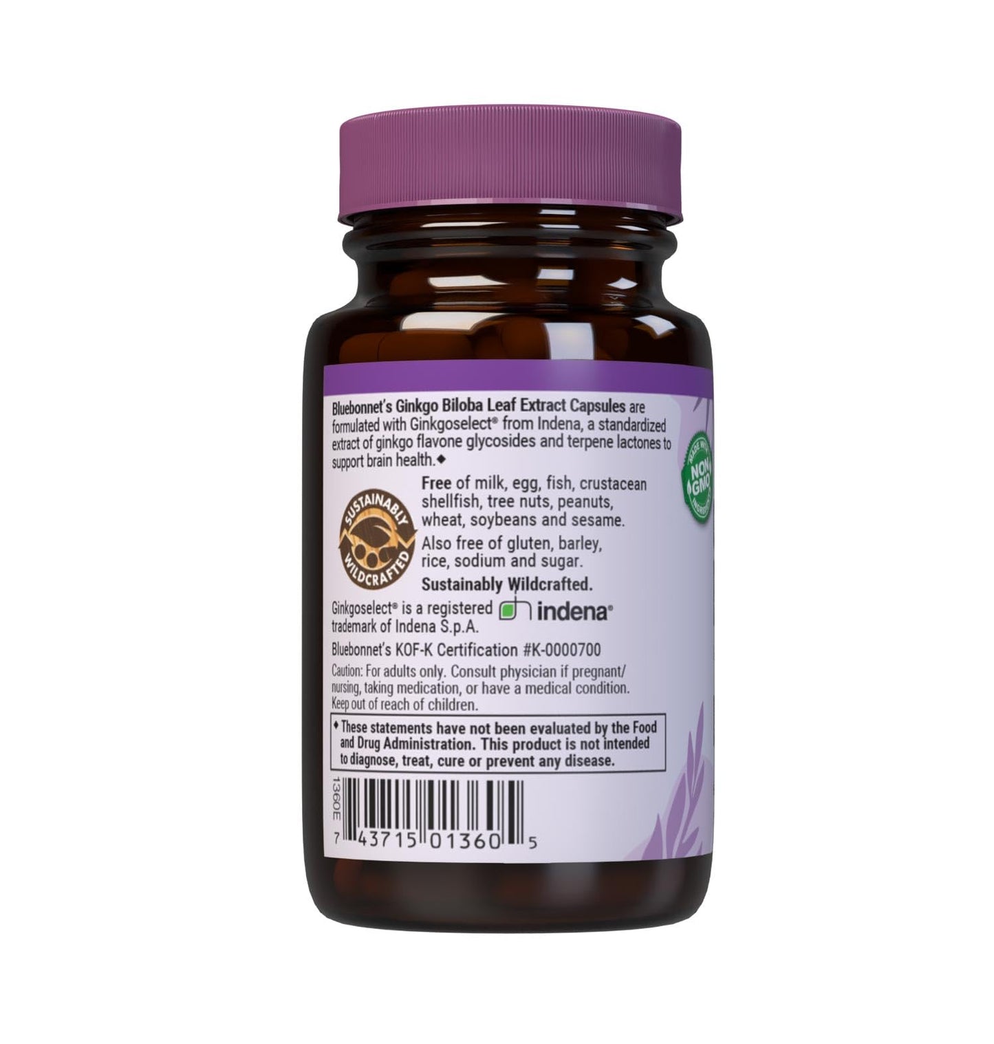 BlueBonnet Ginkgo Biloba Leaf Extract Supplement Capsules 30
