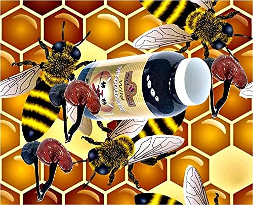 Cand-Gold Wild Bee Propolis Reishi Softgel 365
