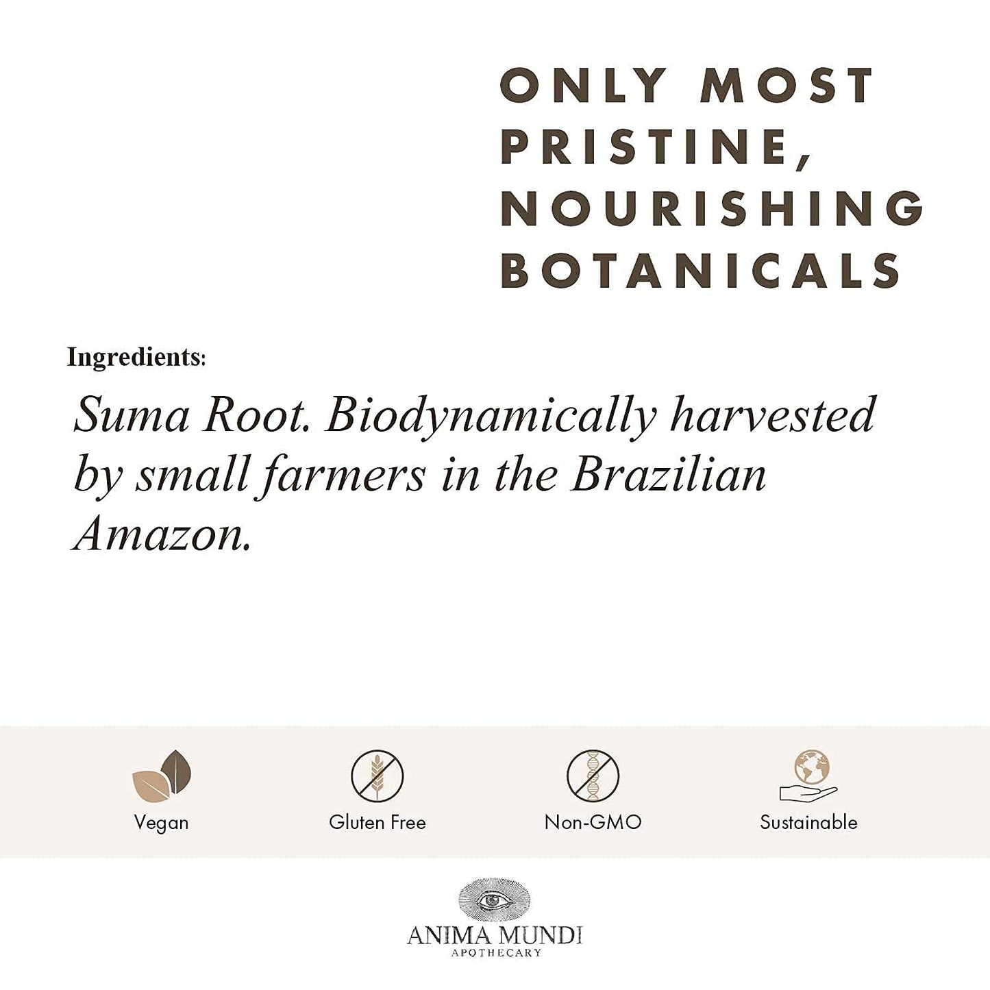 Anima Mundi Apothecary Suma Brazilian Ginseng Root Powder, 4 oz