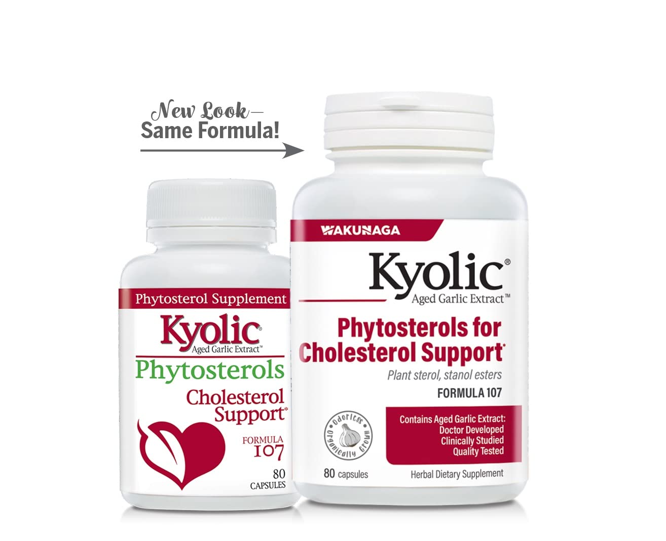 Kyolic Aged Garlic Extract Formula 107 Capsule 80 Count