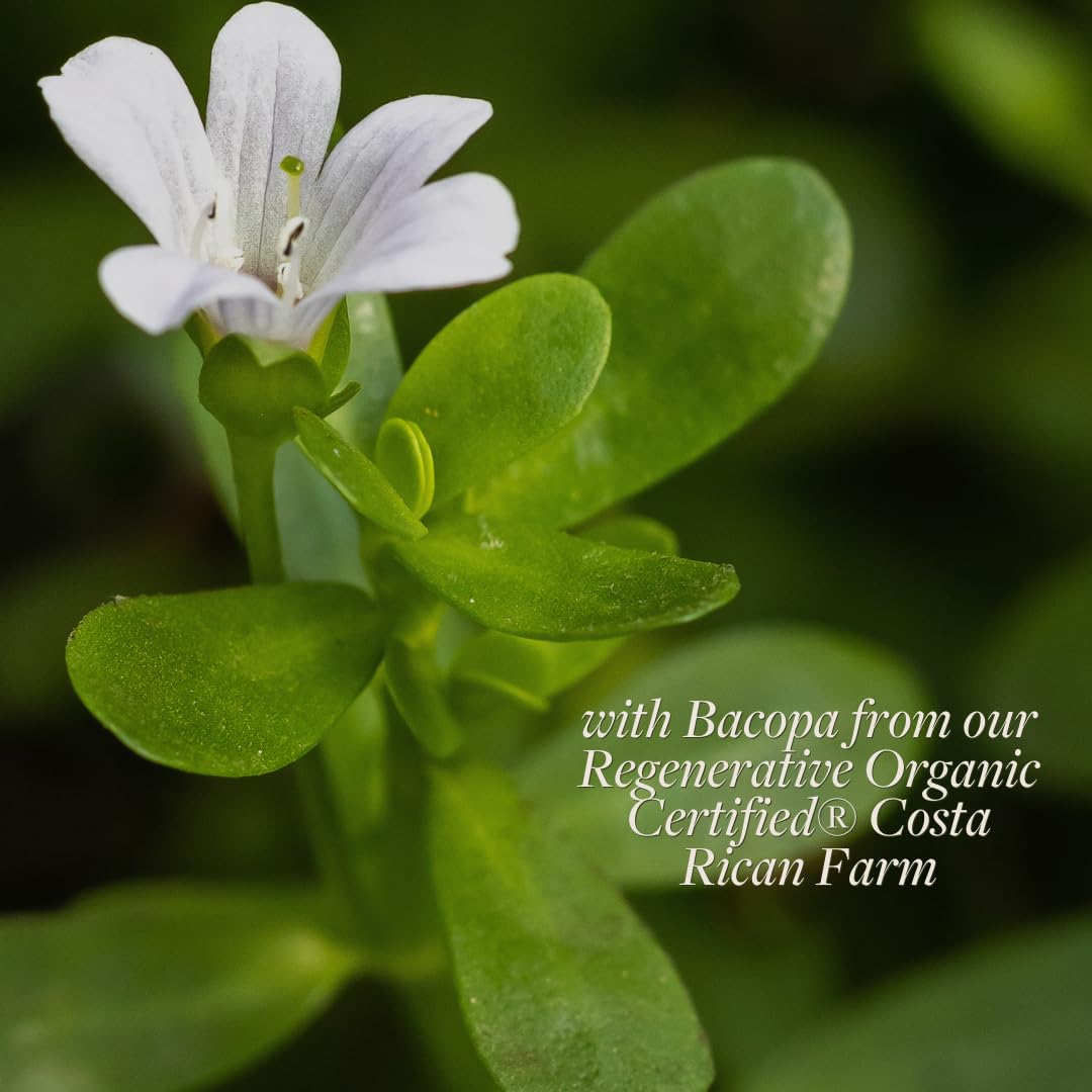 kokora Regenerative Bacopa 60 Capsules