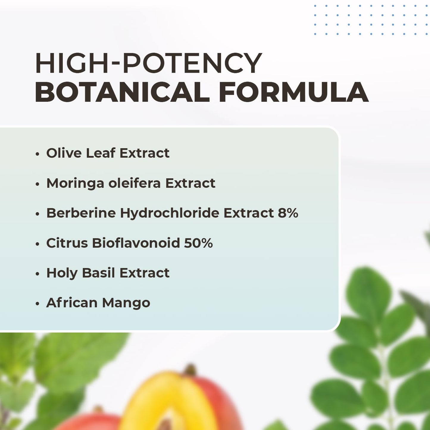 Orby BurnSlim Daily Botanical Supplement with Olive Leaf, Moringa & Holy Basil 360 Capsules
