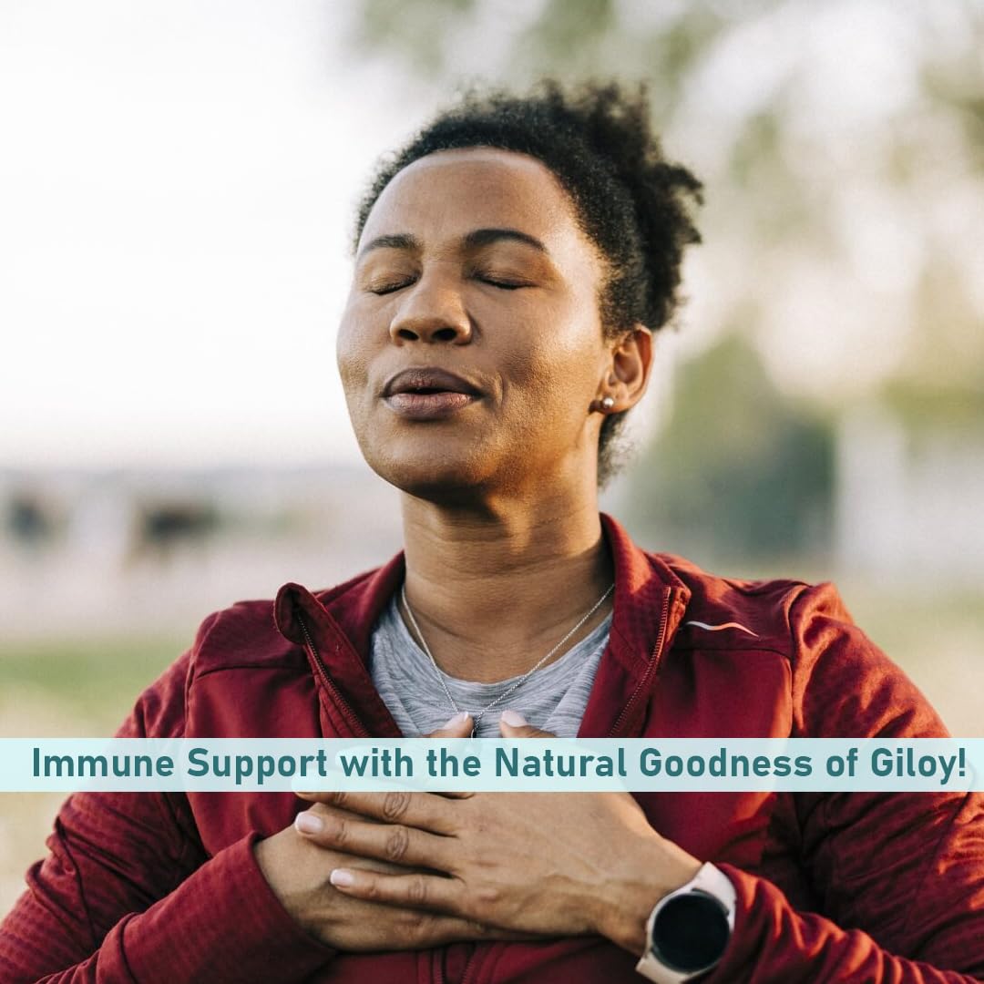 minature Giloy Tablets 90 Count
