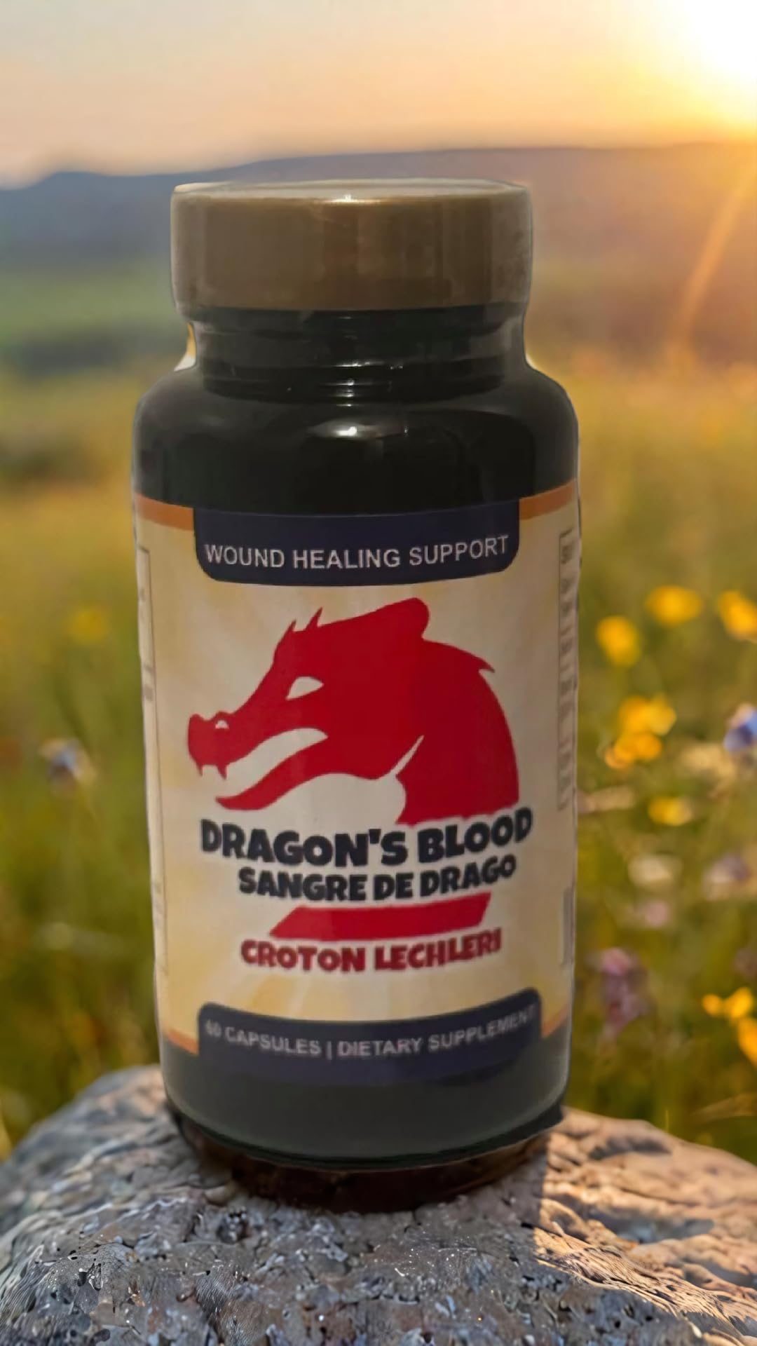 Generic Dragon's Blood Resin Extract Croton Lechleri Sangre de Drago (Sangre de Grado) Digestive Health Supplement, 500mg, Capsules, 60 Count