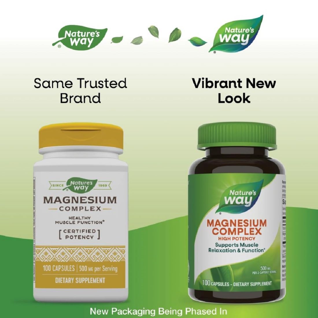 Nature's Way Magnesium Citrate Capsule 1 Count