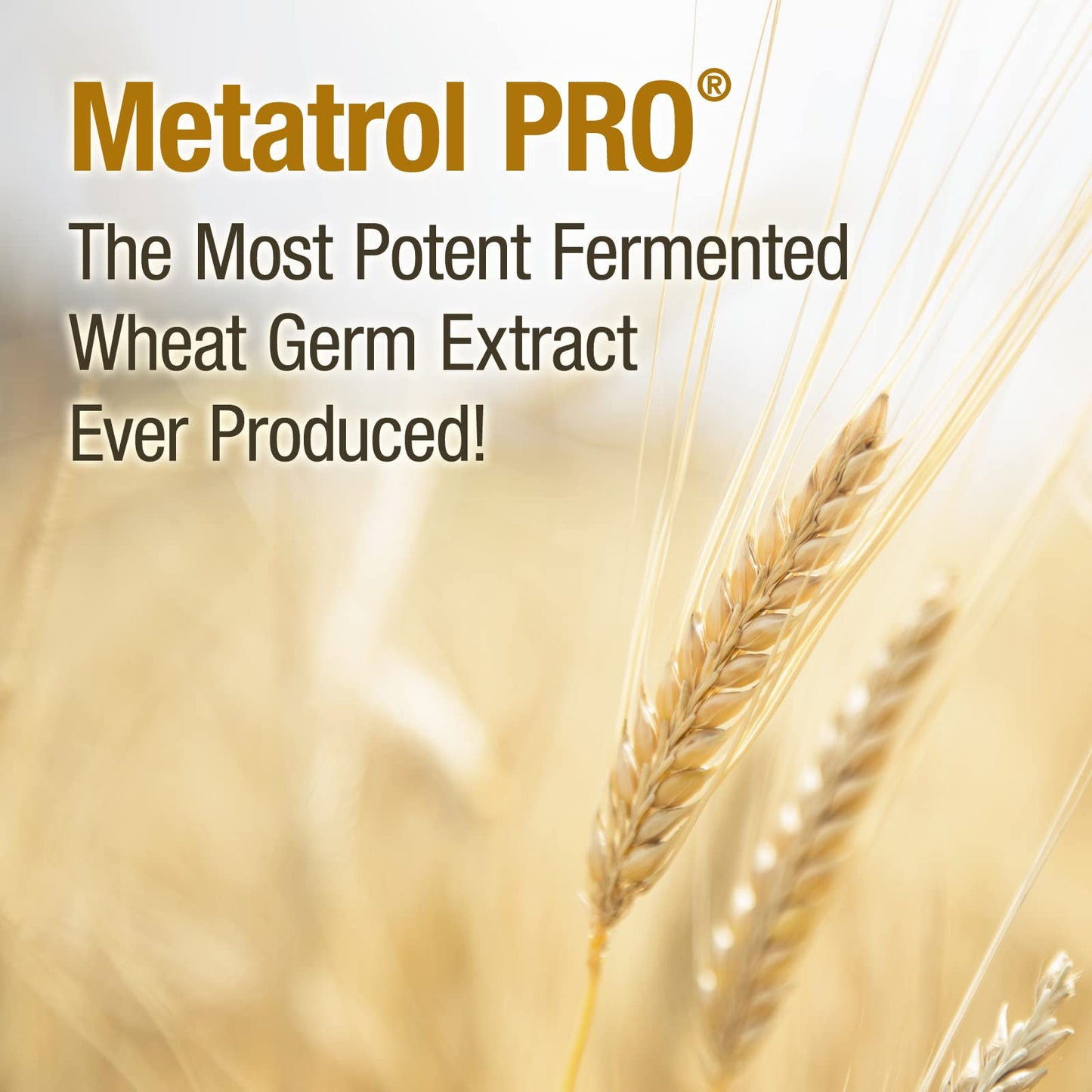 American BioSciences Metatrol PRO Fermented Wheat Germ Extract Gluten Free Immune Support Capsule 60 Count