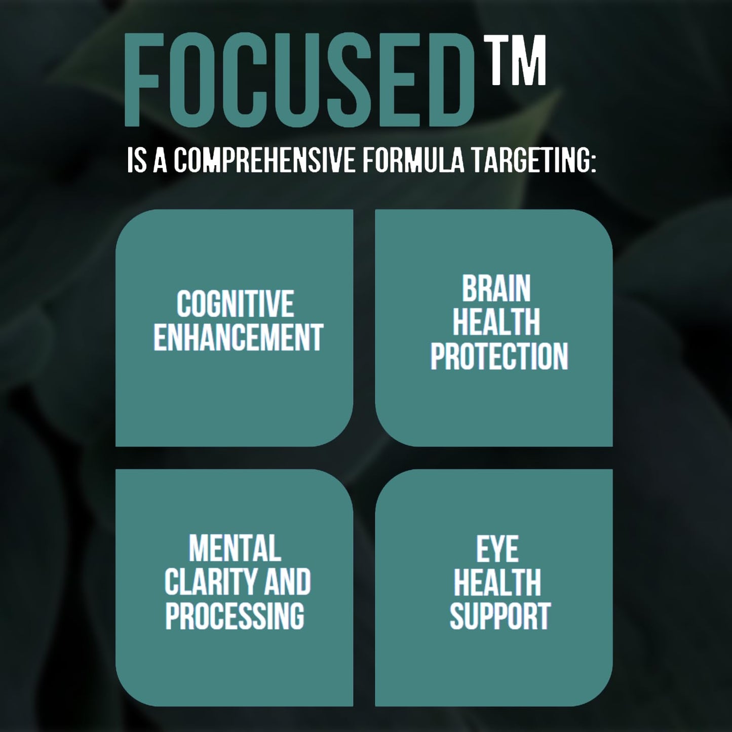Make Wellness Focused Brain Support Formula 30 Capsules