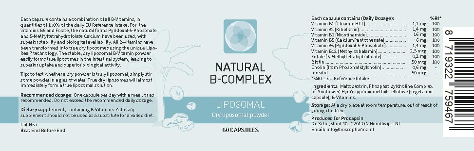 Procapsin Natural Liposomal B Complex Capsules with All 6 B Vitamins, 1 Count