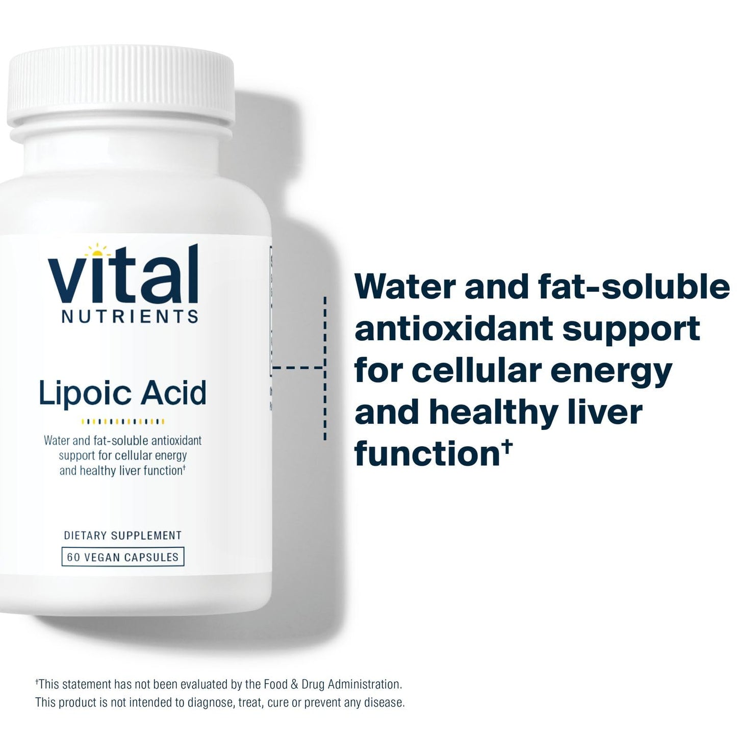 Vital Nutrients Lipoic Acid 300mg Alpha-Lipoic Acid Antioxidant ALA Supplement for Healthy Metabolism and Energy 60 Capsules