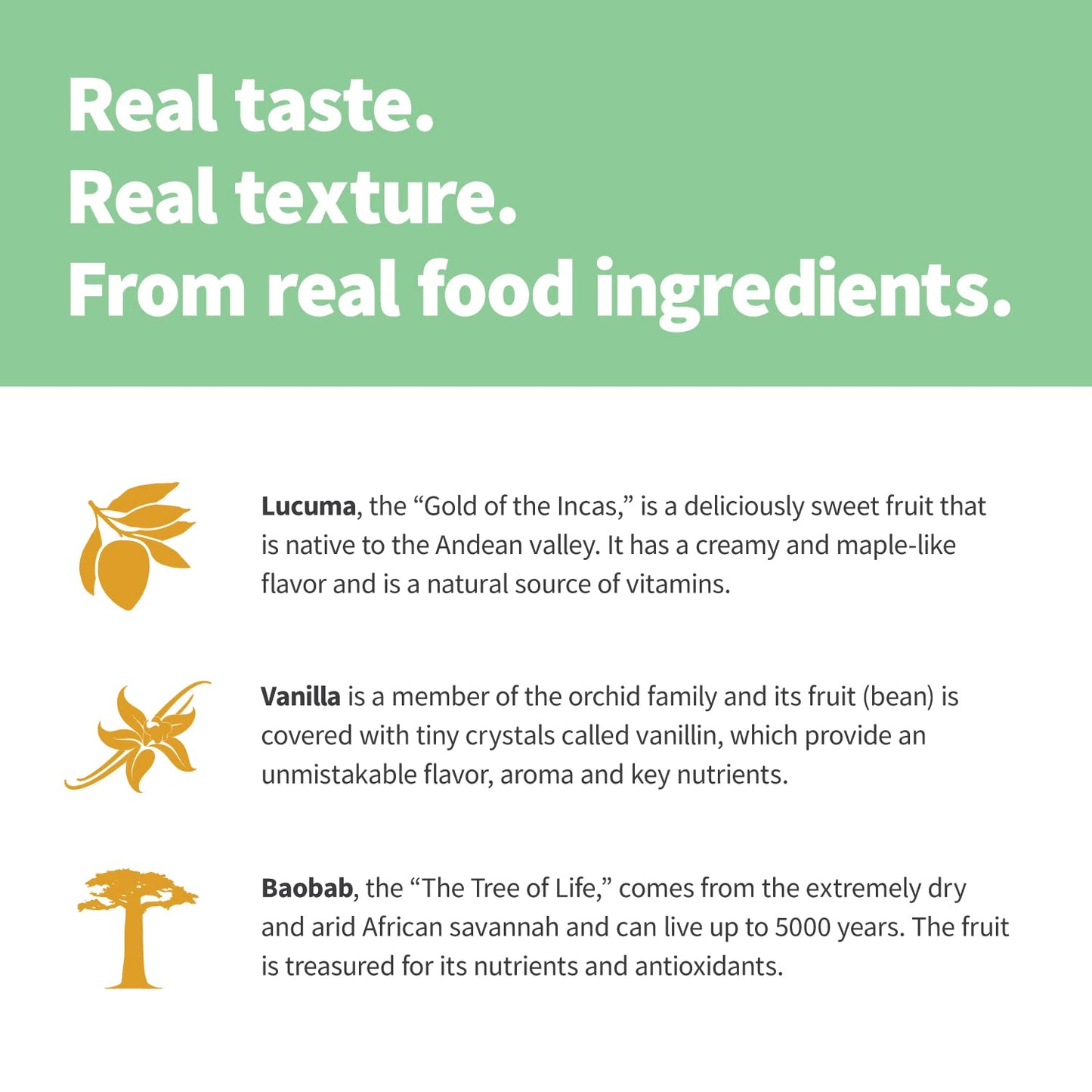 Sprout Living Epic Protein Plant-Based Protein & Superfoods Powder, Vanilla Lucuma, 16 Servings