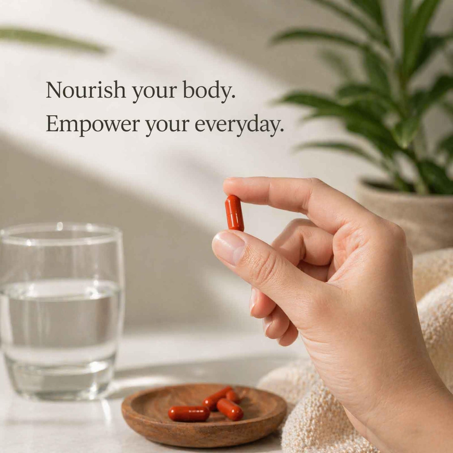 AZAMORA DISCOUNT DISTRO Urolithin A Softgels 60 Softgels