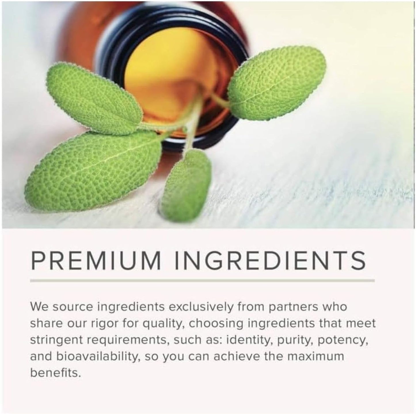 NusaPure Apple Cider Vinegar Complex Capsule 180
