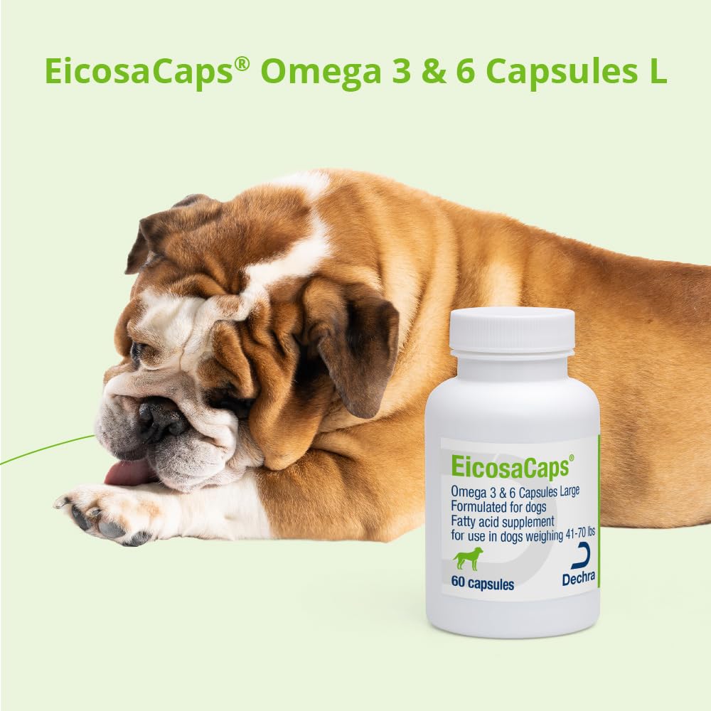 EicosaCaps Omega 3 & 6 Capsules for Dogs, 60 Capsules