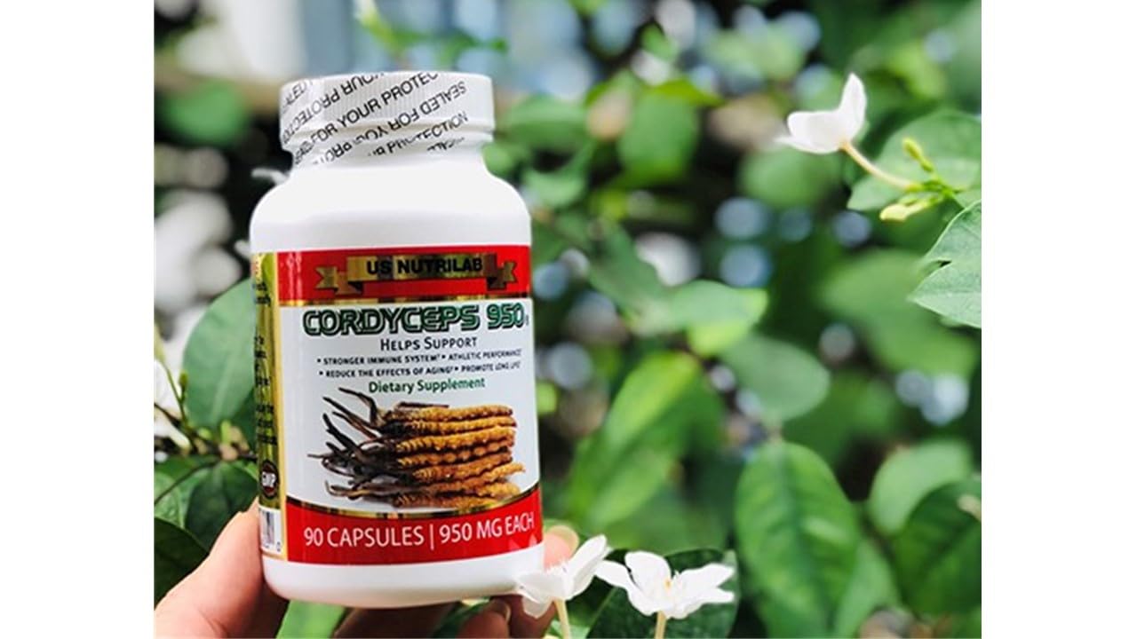 Generic Cordyceps 950 Capsule 1 Count