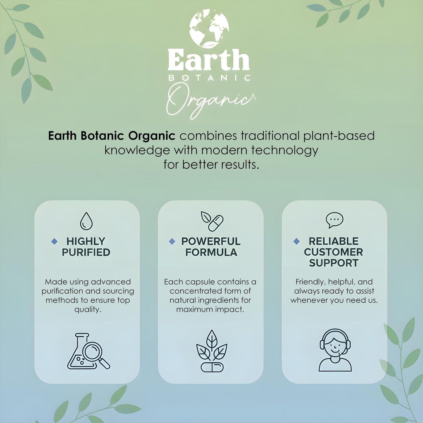 Earth BOTANIC Organic Thyme Leaf Extract 1000mg 10:1 Capsule, 1 Count