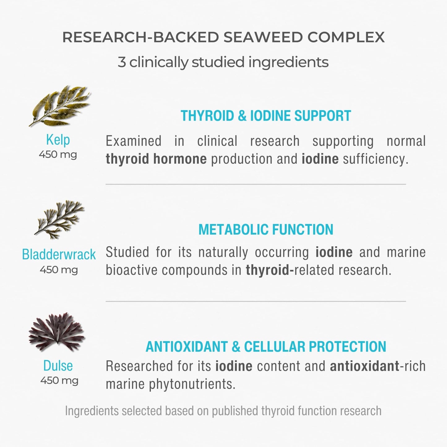 Sana Herbal Sciences Thyroid Support Supplement for Women & Men – Organic Seaweed Iodine Formula with Kelp, Bladderwrack & Dulse – Plant-Based, No Synthetic Iodine – Supports Healthy Thyroid Function Capsules, 90