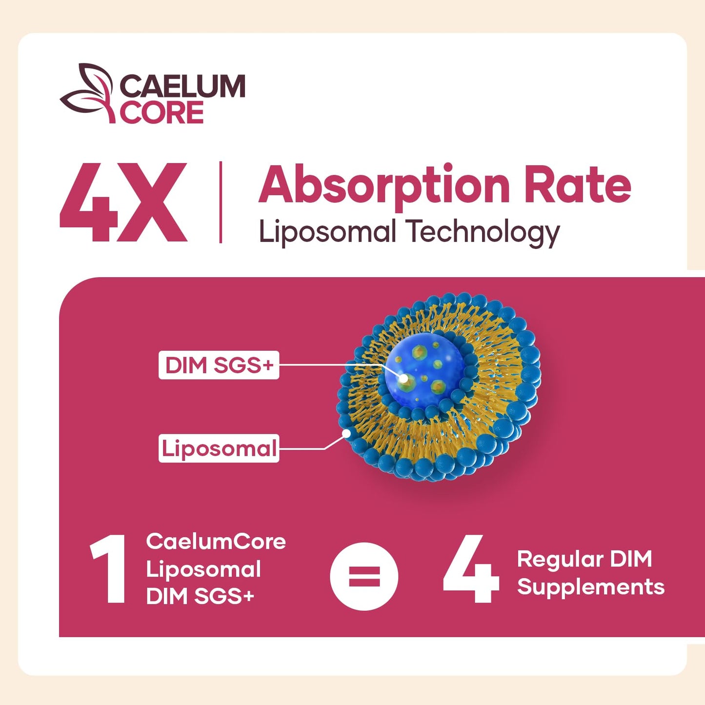 CEALMU CORE Liposomal DIM SGS Supplement 60 Capsules