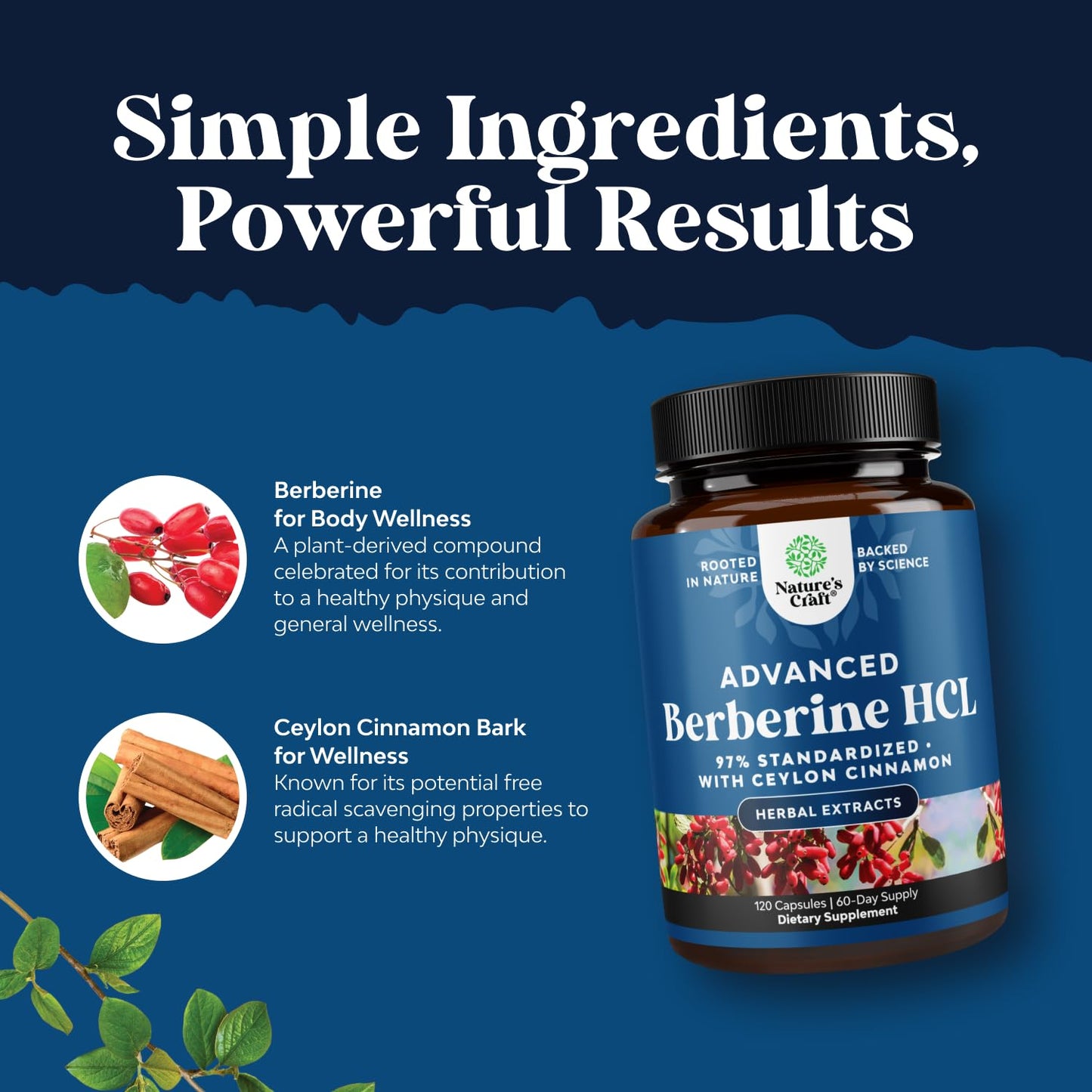Natures Craft Balancing Berberine Plus 1200mg Per Serving Complex Capsules, 120 Capsules