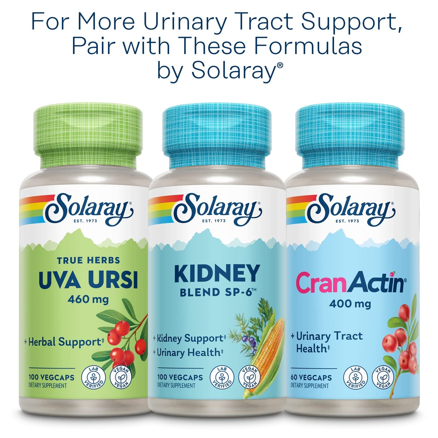 SOLARAY Nettle Leaf 450 mg Capsules, 180 Count