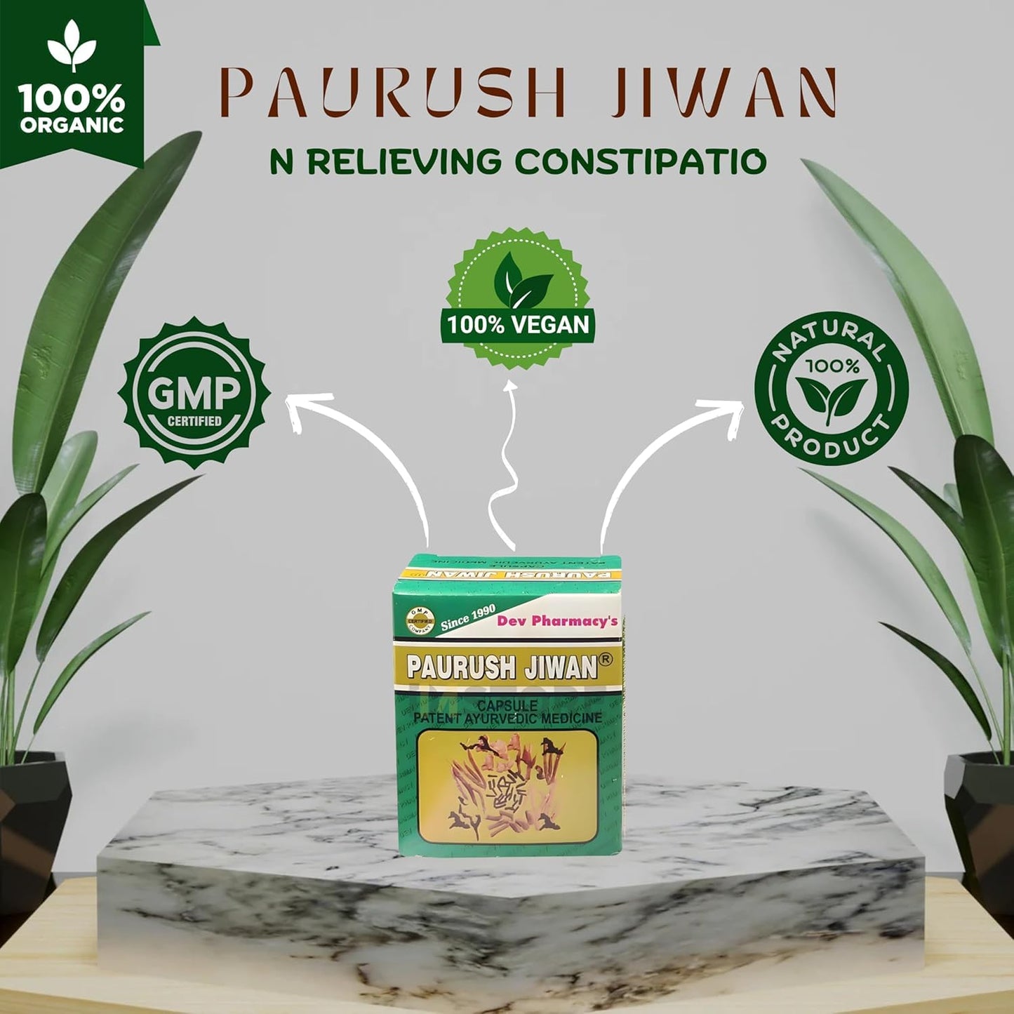 DM STORE Paurush Jiwan Capsule 60 Capsules