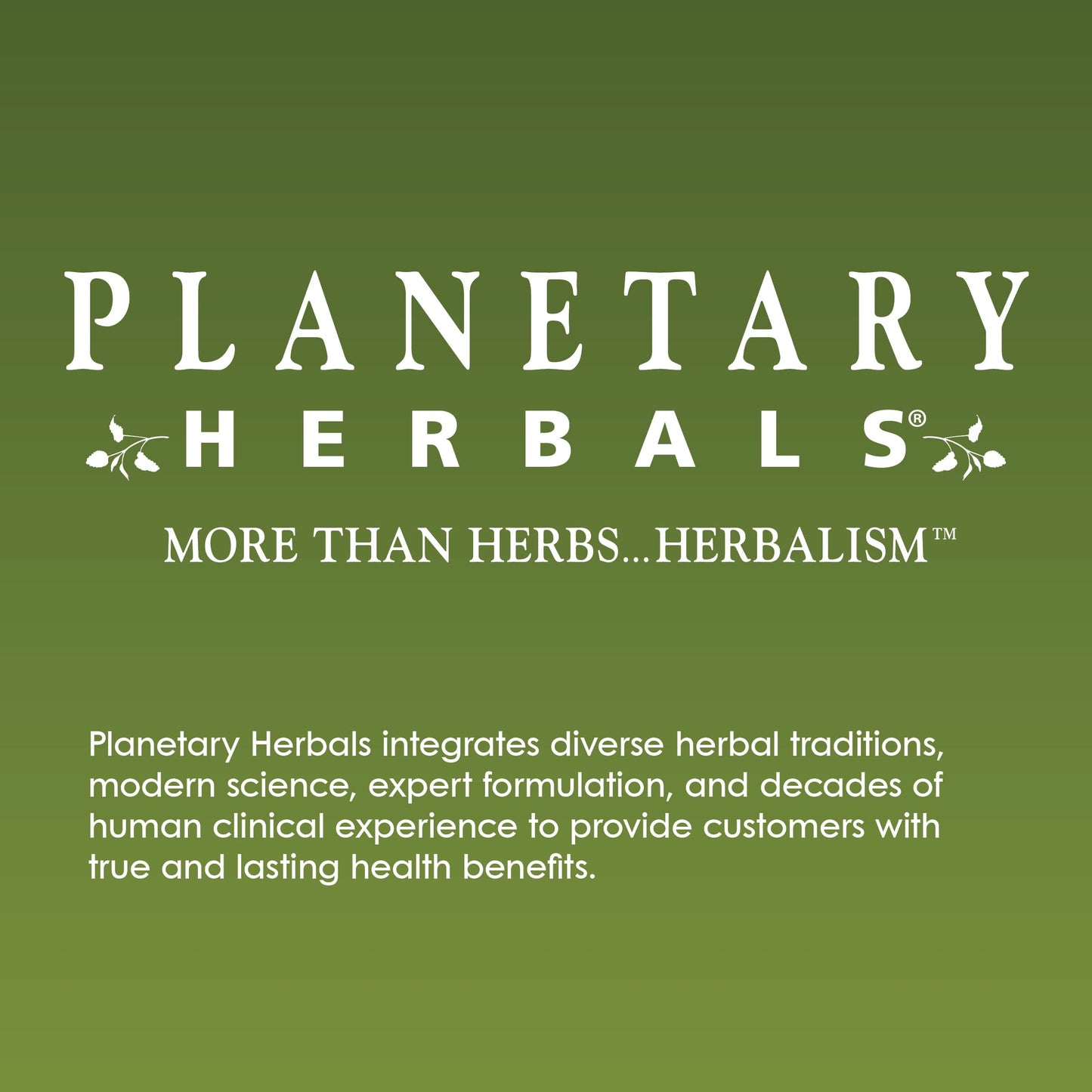 Planetary Herbals Pumpkin Seed Oil Softgels 45