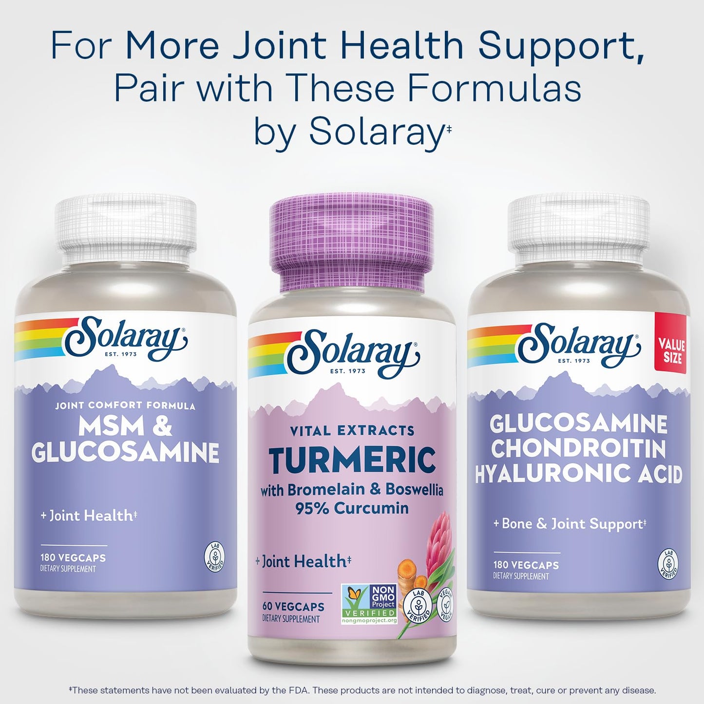 SOLARAY Turmeric Supplement with Bromelain and Boswellia 95% Curcumin Capsules 60 Count