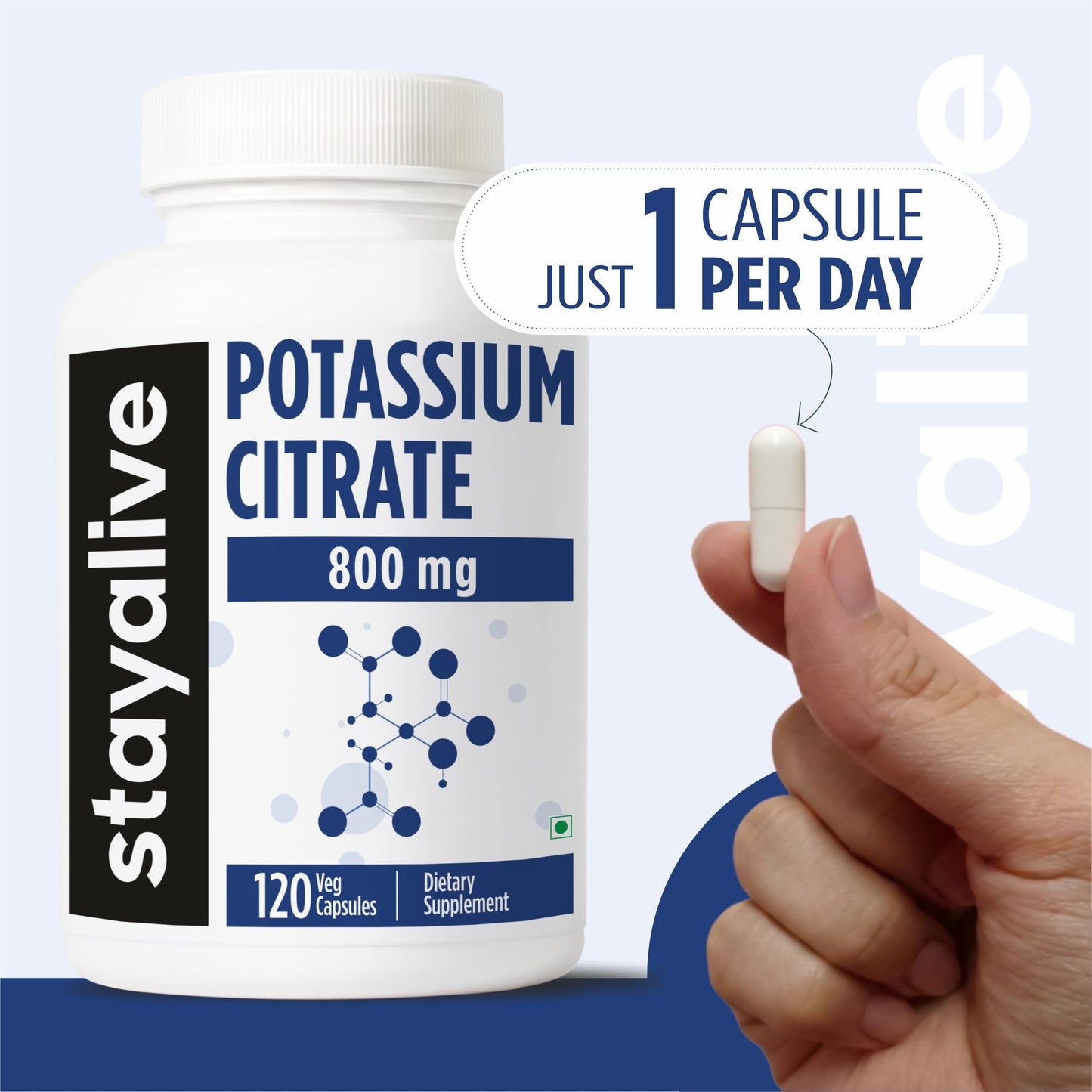 STAY ALIVE Potassium Citrate Supplement Capsule 120 Capsules
