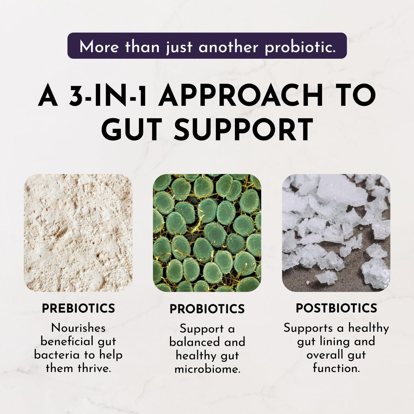 JUST INGREDIENTS Elderberry Lemonade 3-in-1 Probiotic Complex - Prebiotics, Probiotics & Postbiotics Powder 5.4 oz
