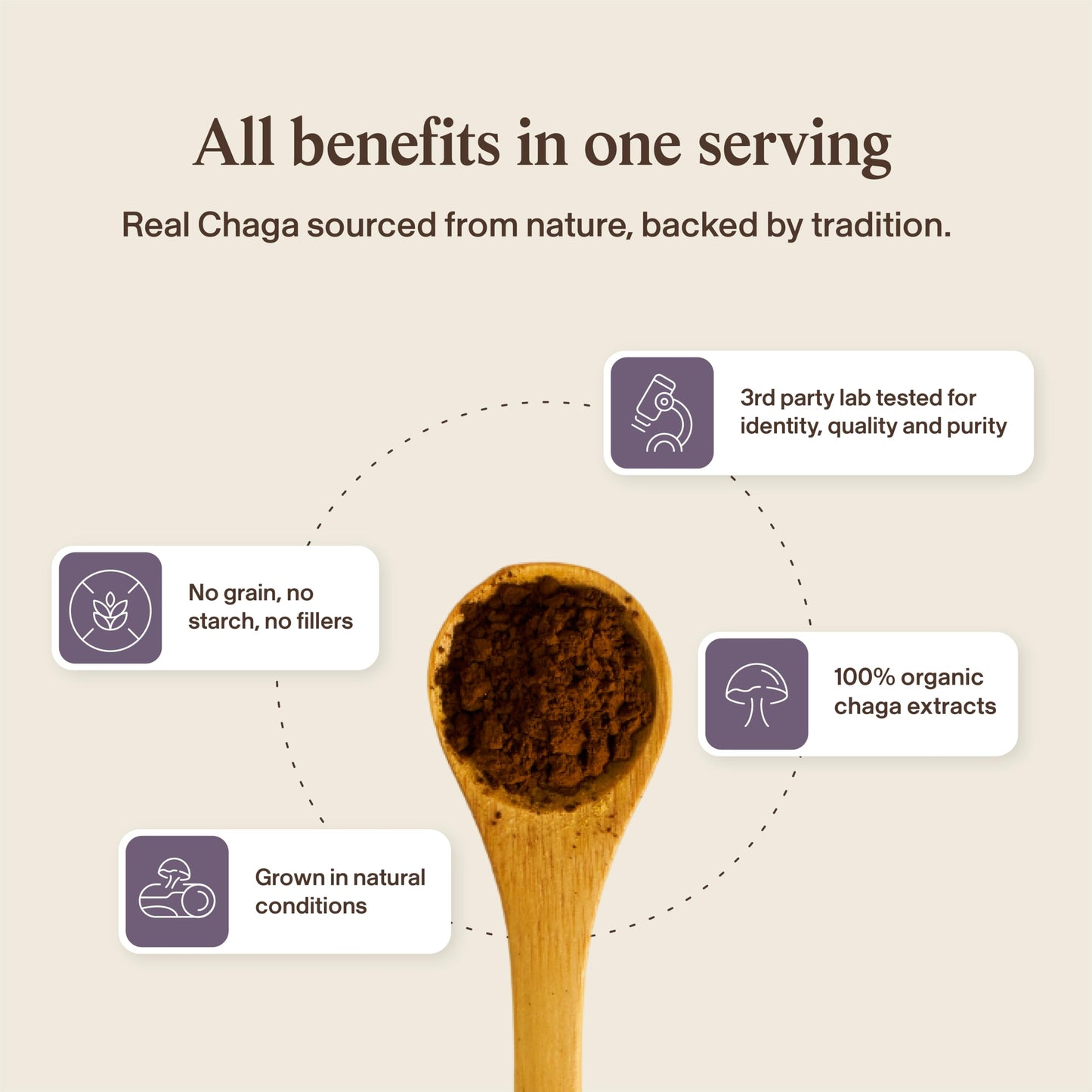 Real Mushrooms Chaga Mushroom Powder 5.29 Ounce