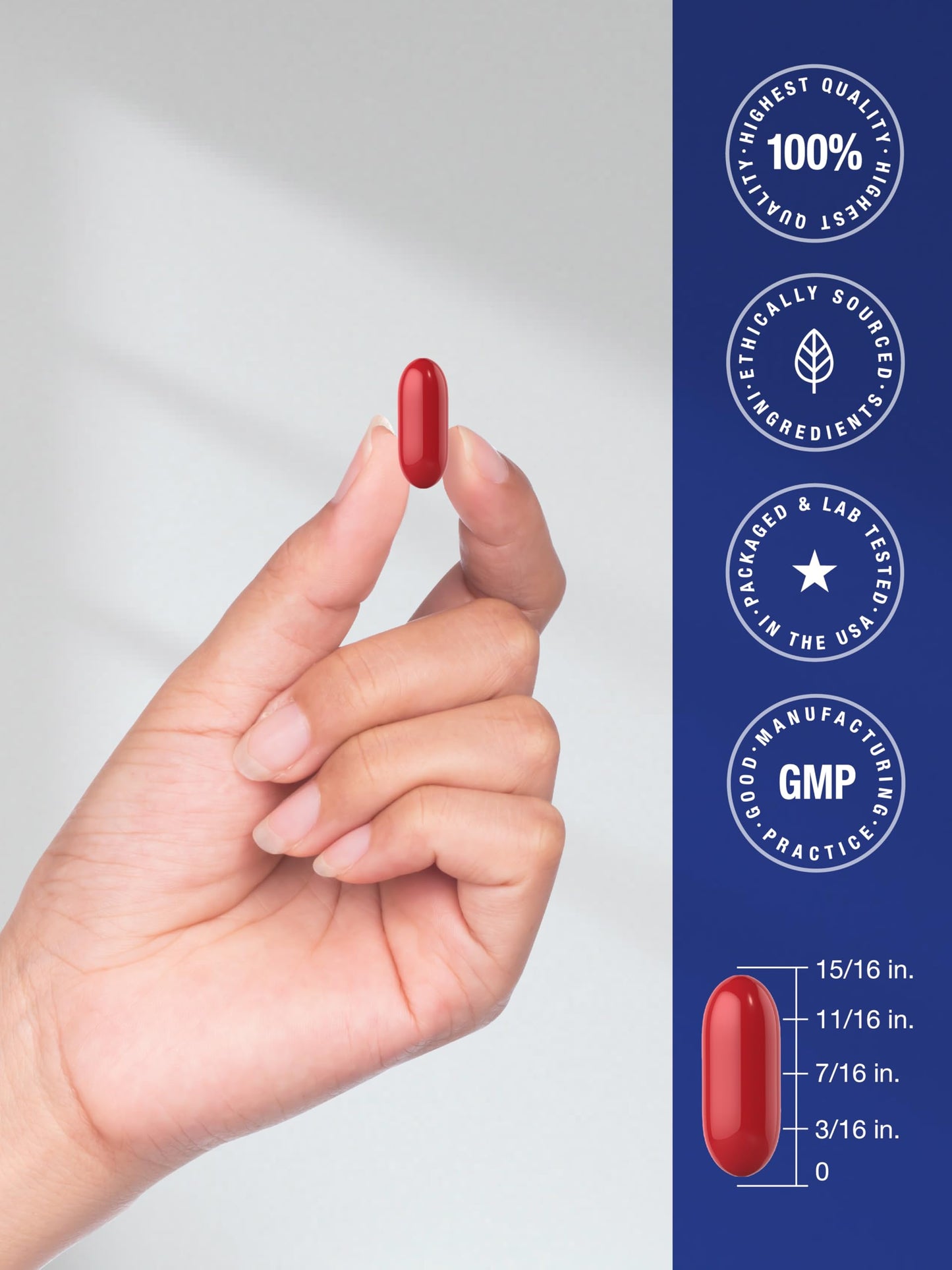 Horbäach Memory IQ Brain Support Supplement 60 Softgels