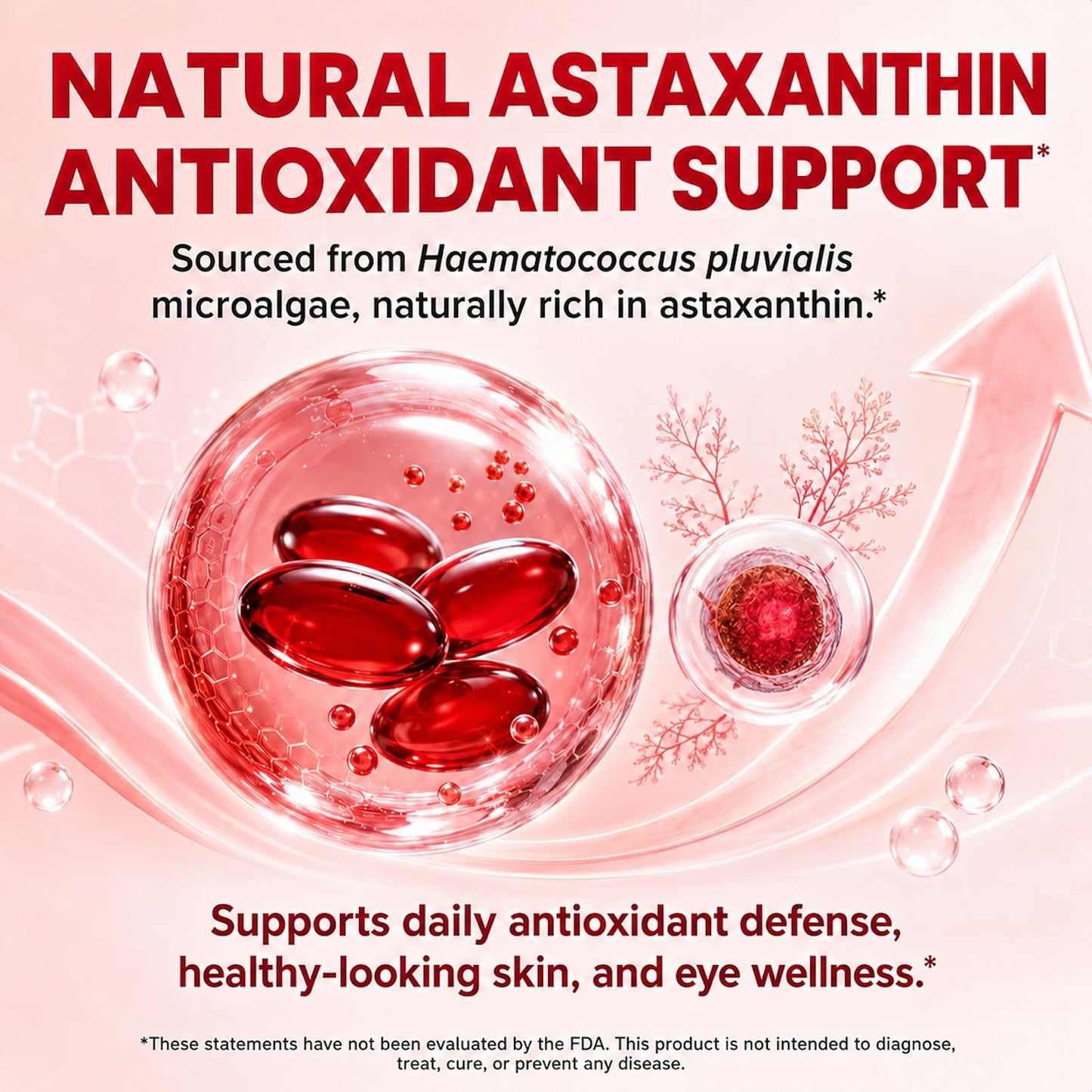 isLandear Astaxanthin 12mg Softgels, 120 Softgels