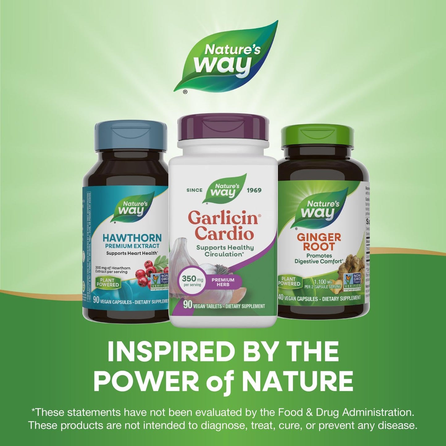 Nature's Way Garlicin Cardio Premium Herbal Healthy Circulation Support 350 mg per Serving 90 Tablets
