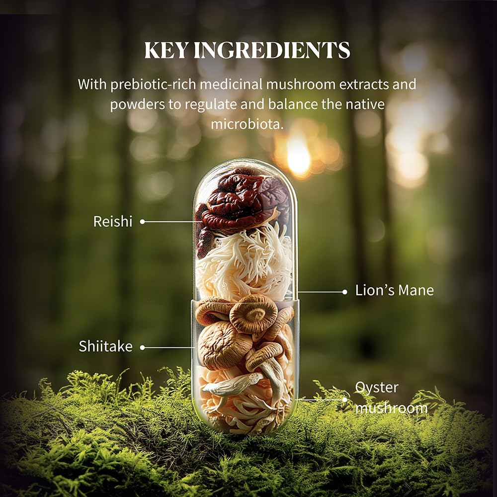 HIFAS DA TERRA Hifas Microbiota Organic Mushroom Complex Supplement with Lions Mane, Reishi, and Shiitake Capsules, 60 Count