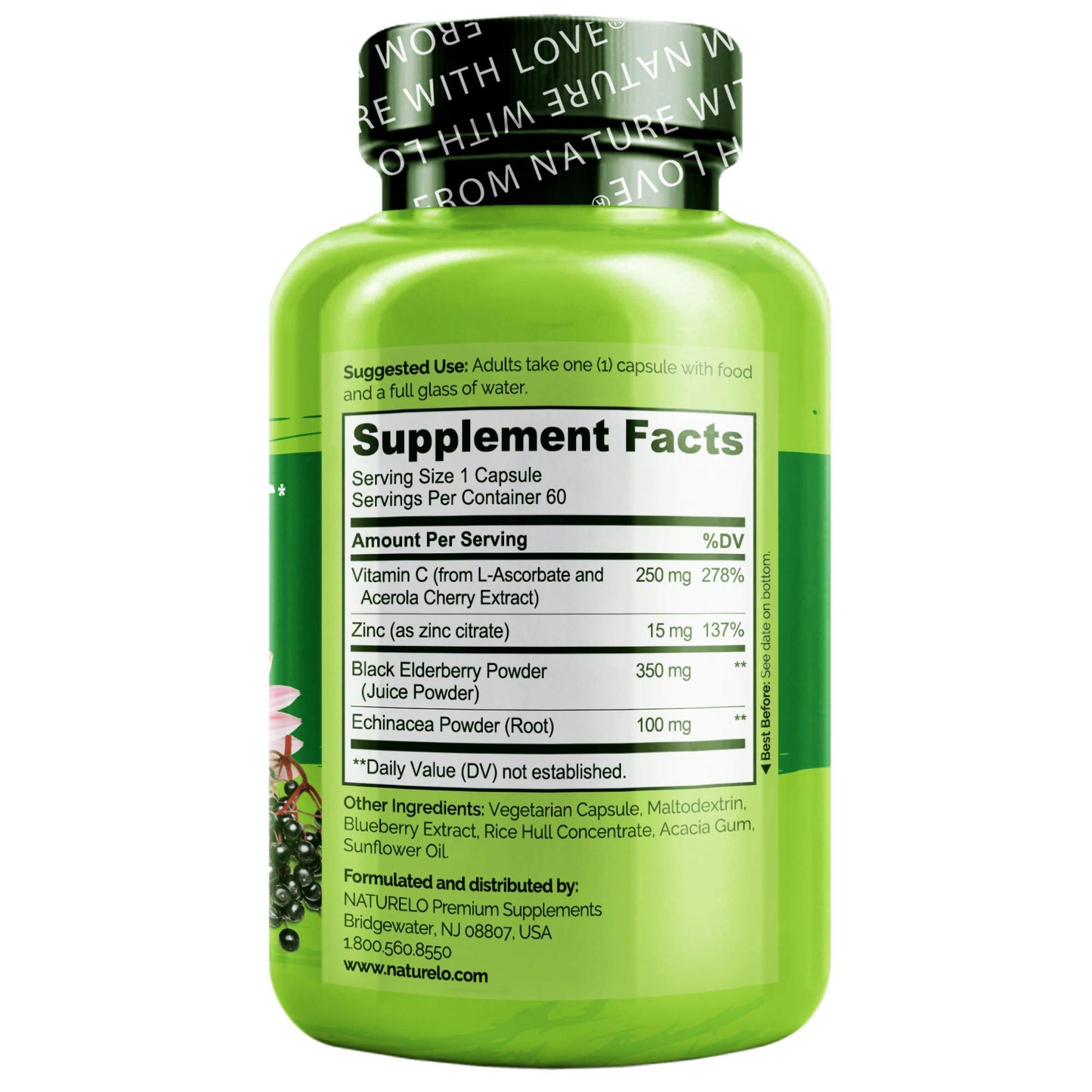 NATURELO Immune Support – Vitamin C, Elderberry, Zinc, Echinacea – Natural Immunity Boost w/Antioxidant, Herbal & Mineral Defense, 120 Capsules