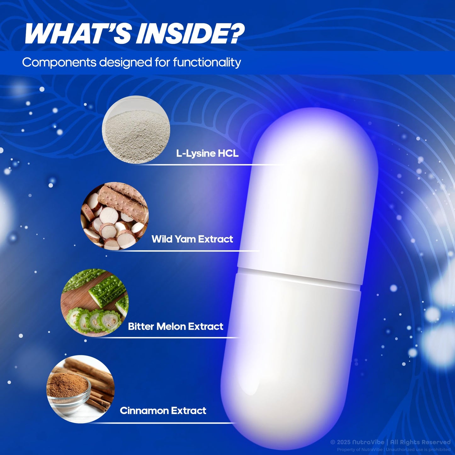 NutraVibe Memory Defender Capsule, 60 Capsules