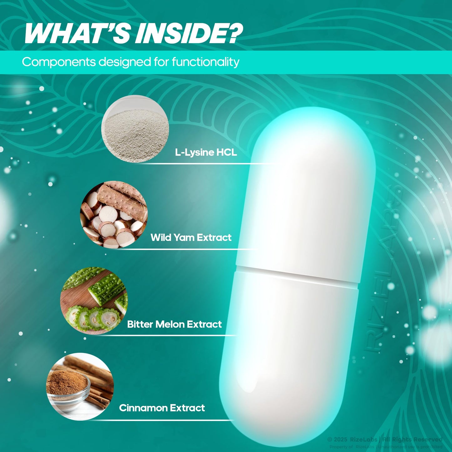 Rize Labs Cogni Plus Capsules, 180 Capsules