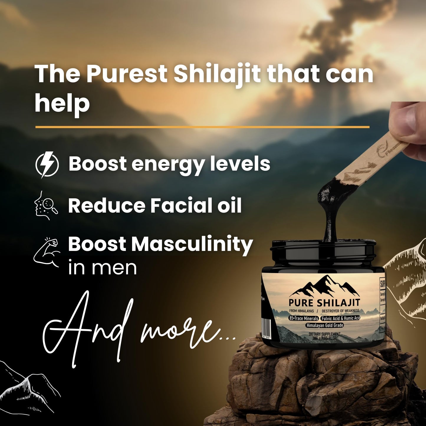 Pure Himalayan Shilajit Shilajit Capsules + Resin, 2 Count