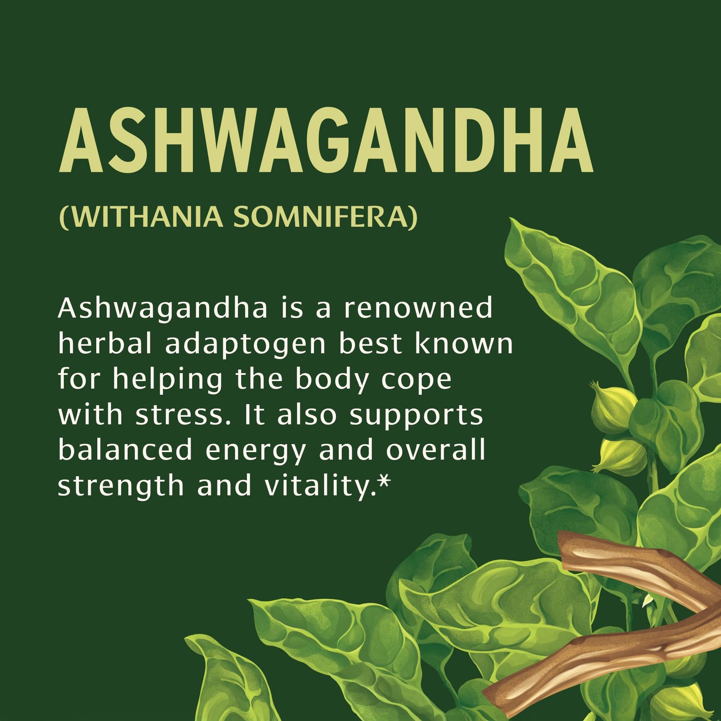 Banyan Botanicals Organic Ashwagandha 1000mg Tablet, 90 Tablets