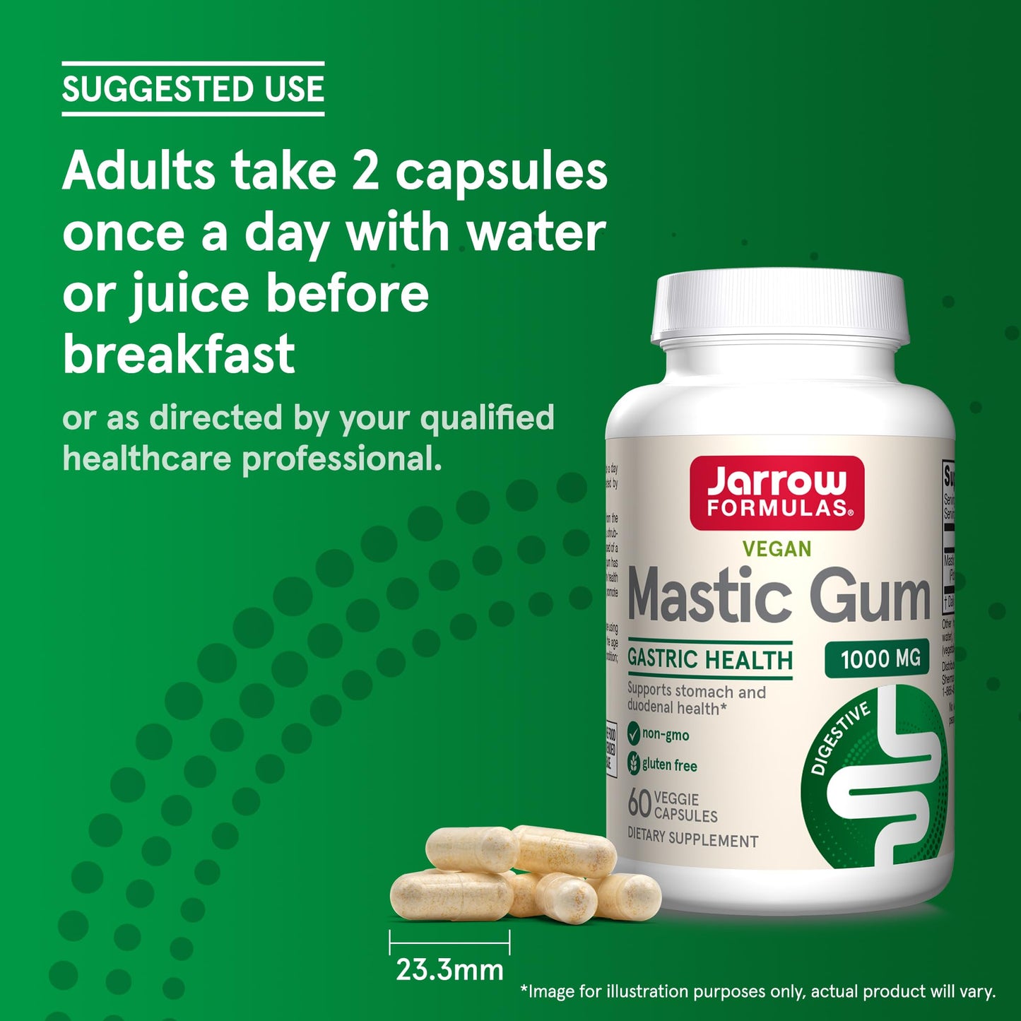 Jarrow Formulas Mastic Gum 1000 mg Capsule, 60 Count
