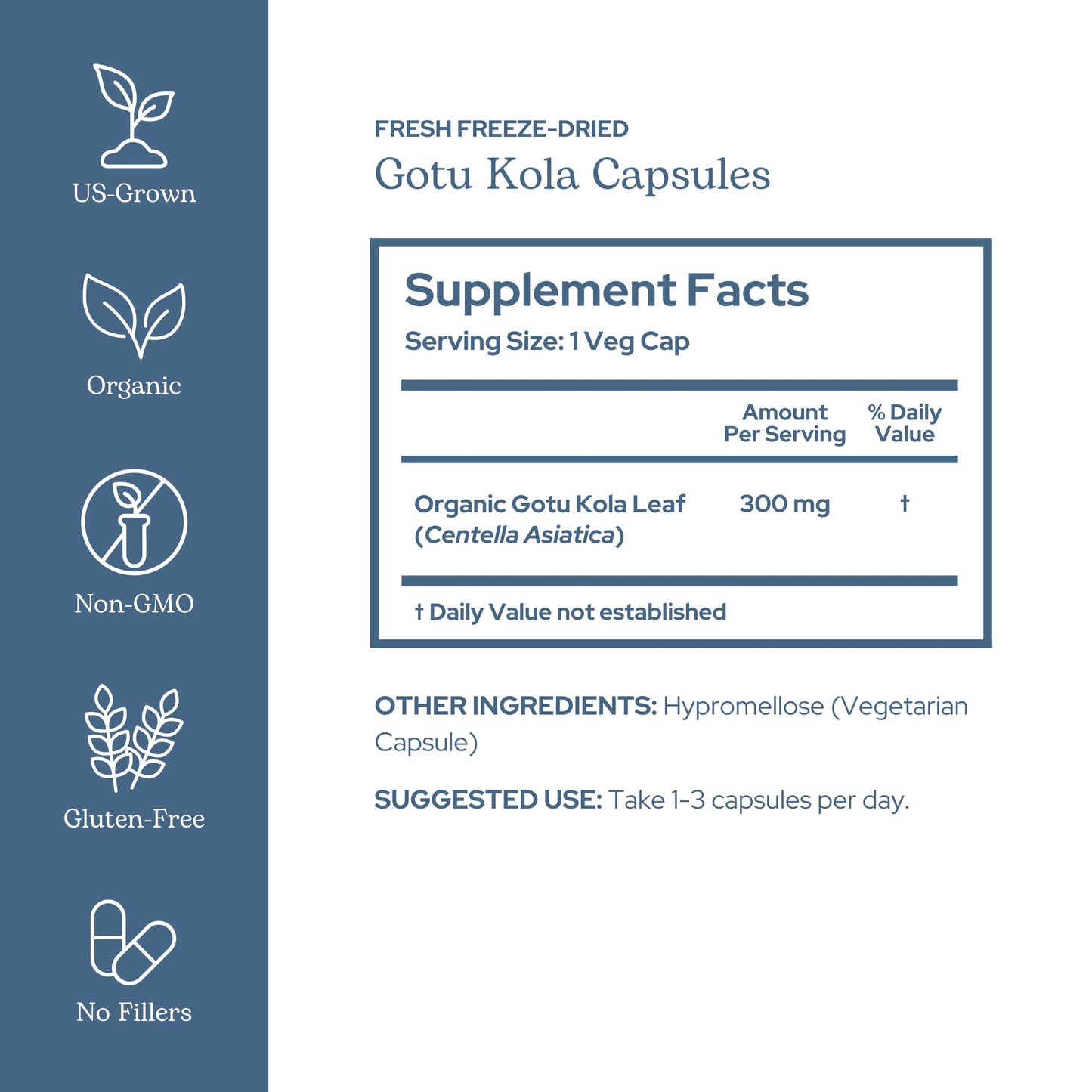 Eclectic Institute Gotu Kola Capsule 90 Count
