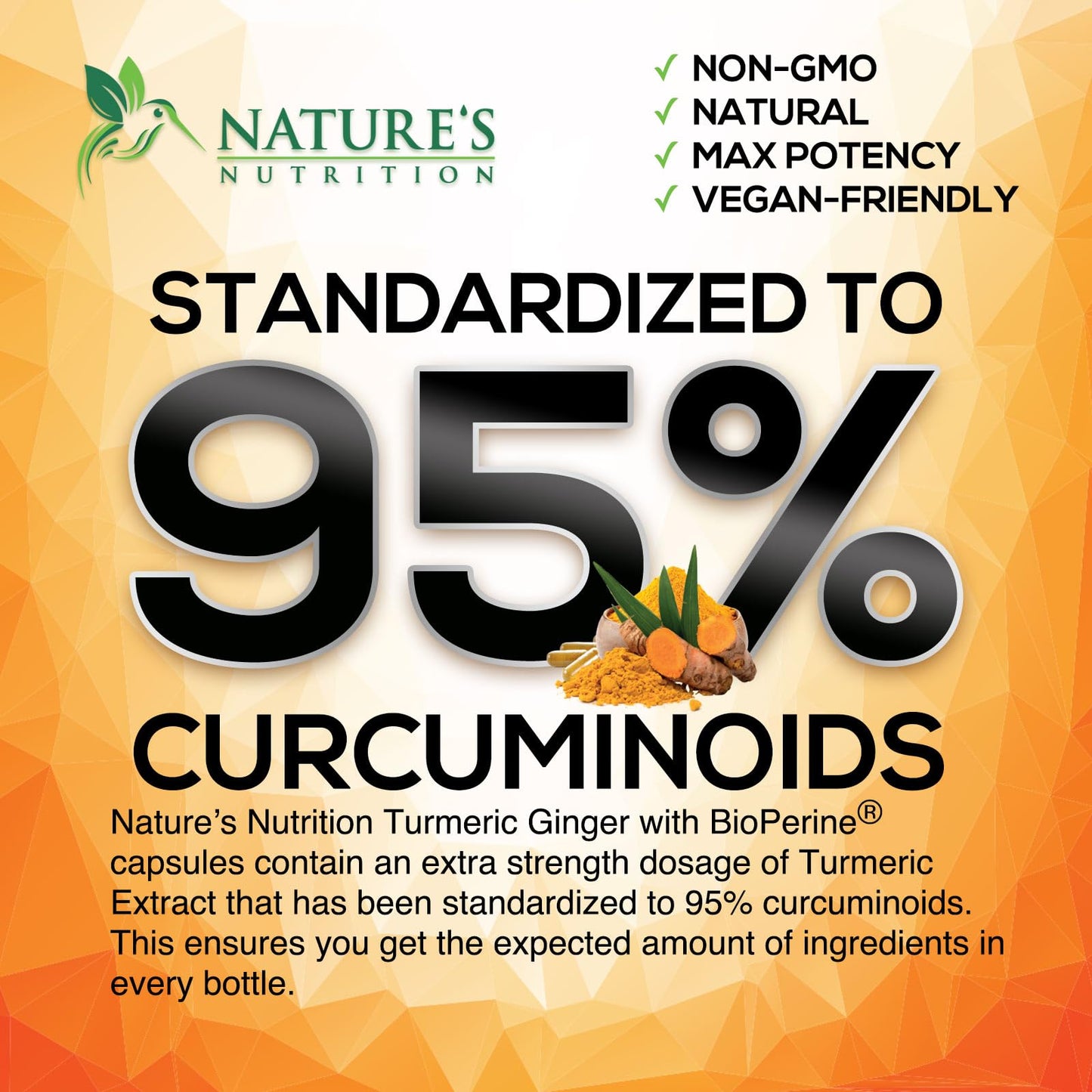 Nature's Nutrition Turmeric Curcumin Supplement Capsules 240 Count
