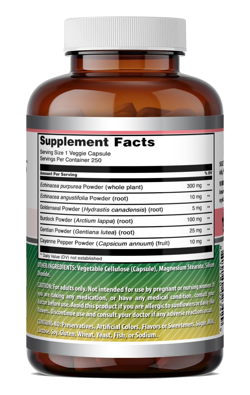 Amazing Nutrition Echinacea with Goldenseal Supplement Capsules 250 Count