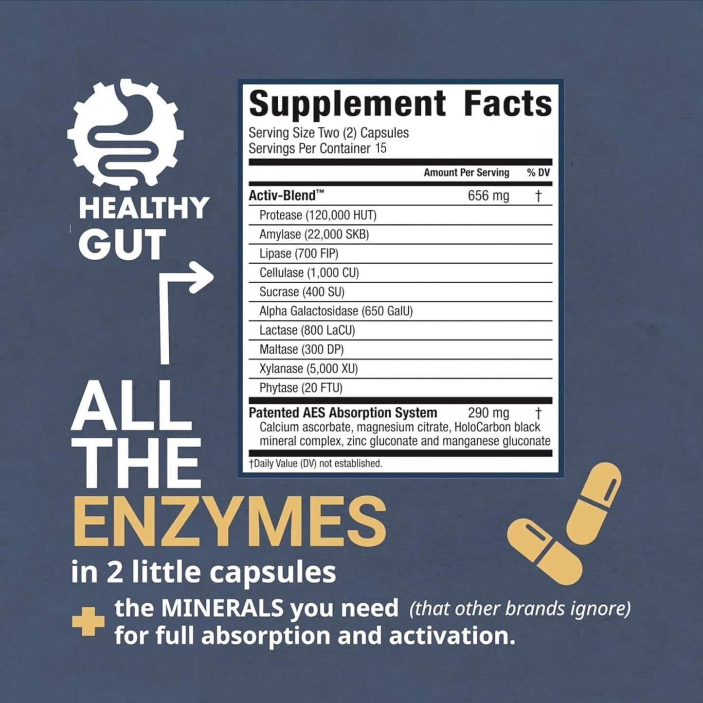 Healthy Gut HistaHarmony 60 Tablets and HoloZyme Digestive Enzymes 30 Capsules, 90 Count