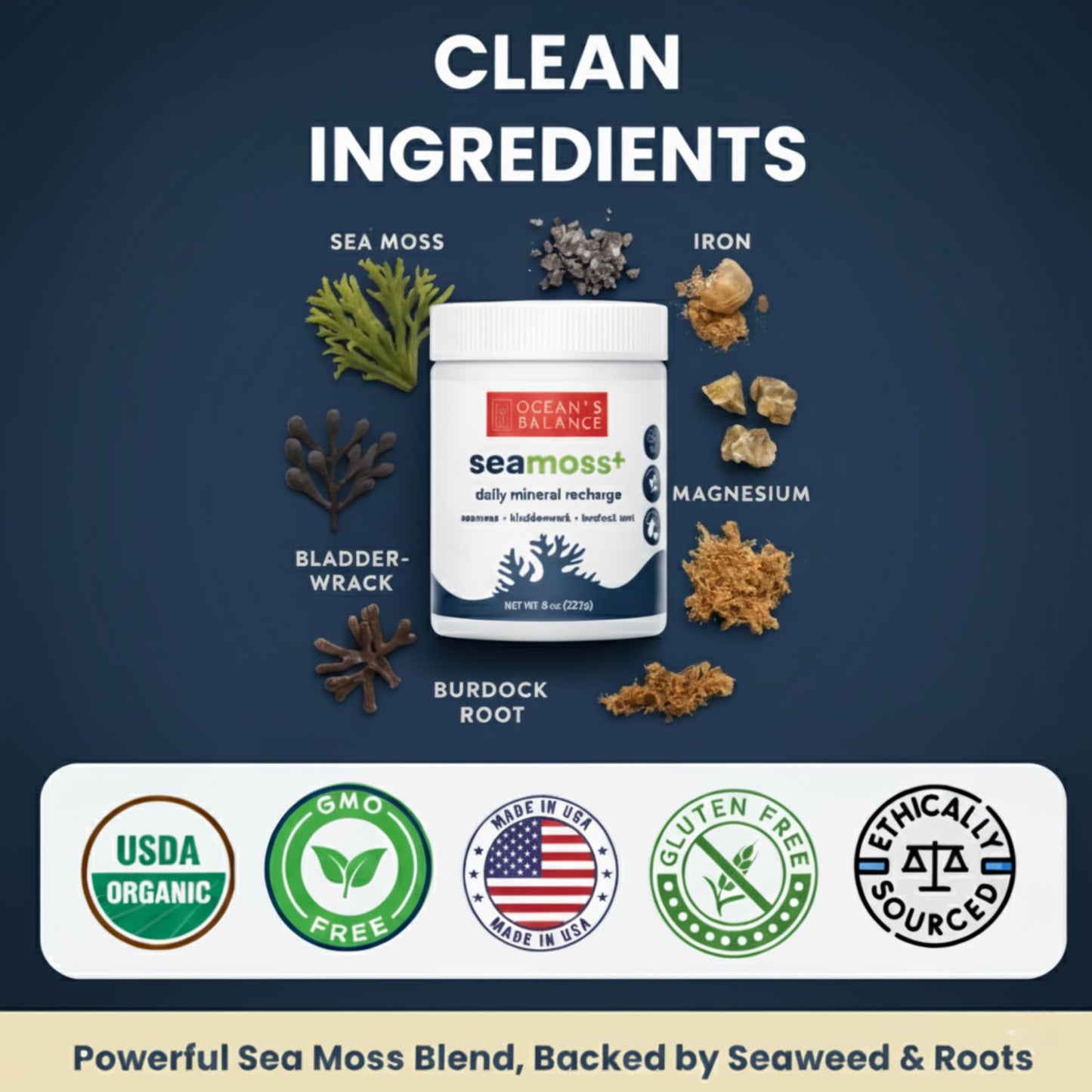 Ocean’s Balance Clean Taste of Maine SeaMoss+ Wellness Blend Powder 8