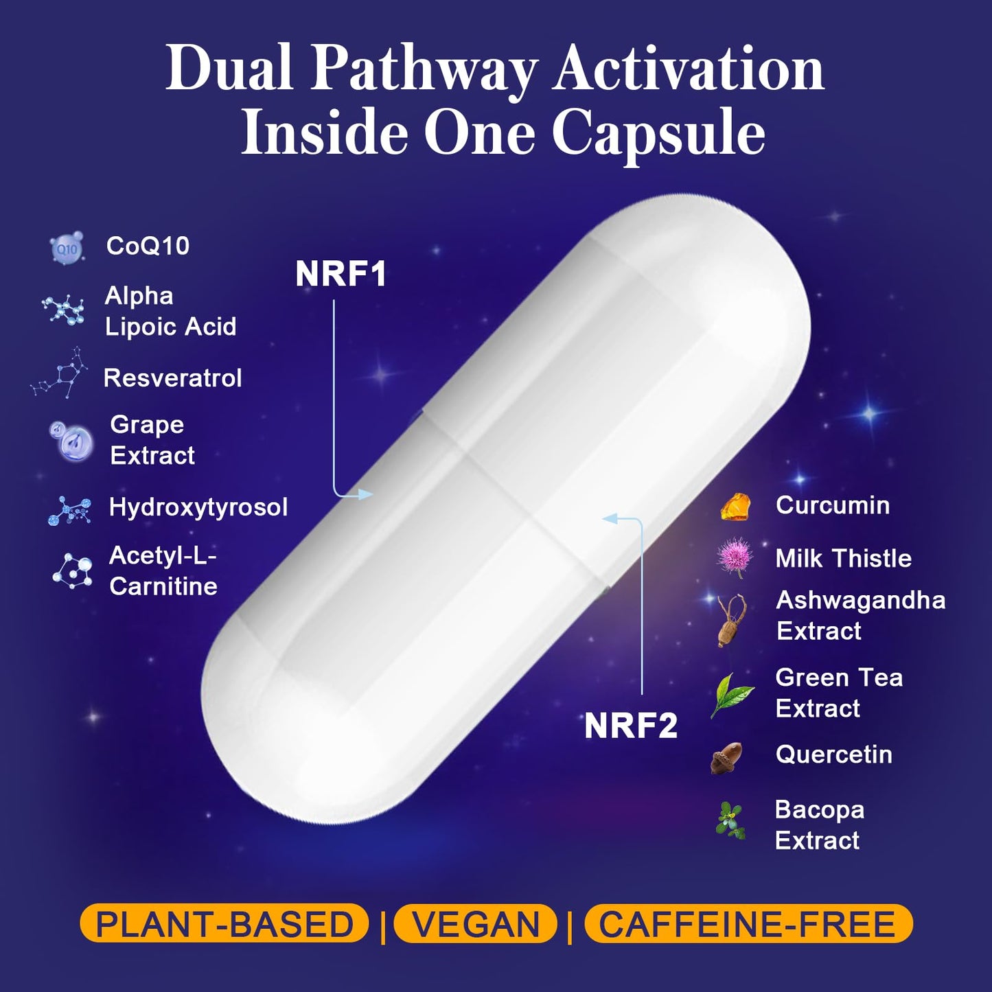 Calyverithion NRF1 & NRF2 Supplement 1500mg Capsule, 120 Capsules