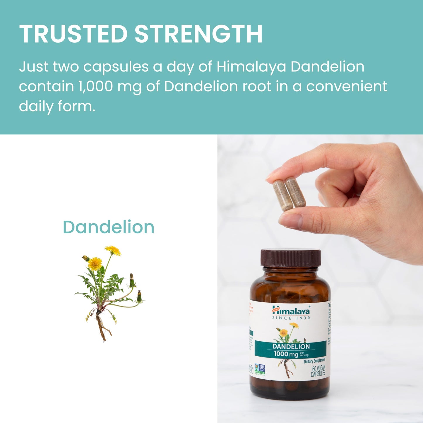 Himalaya Dandelion Root Supplement Capsules, 60 Count