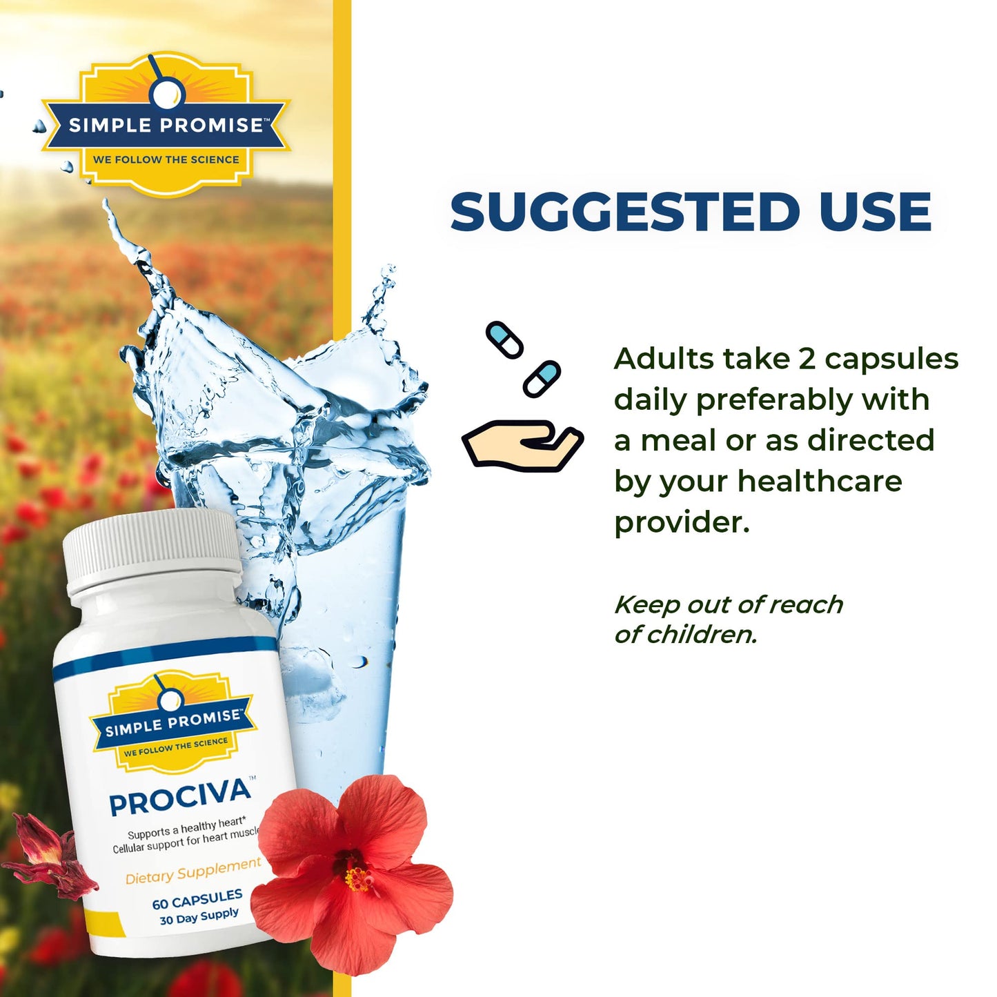 Simple Promise Prociva Arjuna Bark Extract Heart Health Supplement Capsule, 60 Count